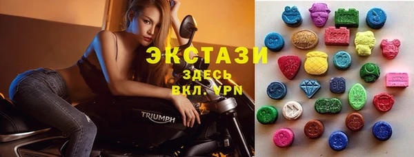 гидра Корсаков