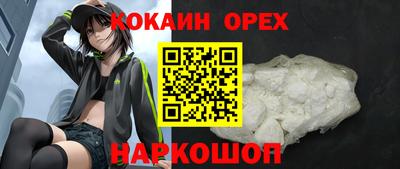 стаф Заводоуковск