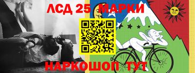 стаф Заводоуковск