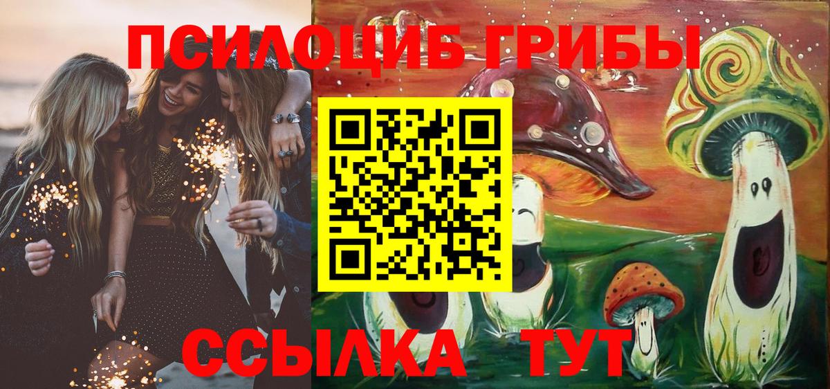 Галлюциногенные грибы Magic Shrooms Строитель