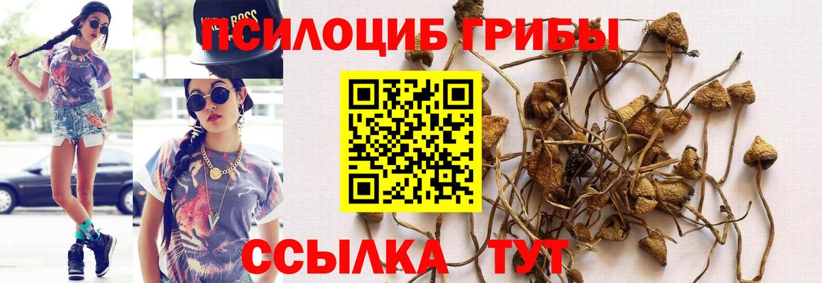 Галлюциногенные грибы мицелий  Галлюциногенные грибы мицелий  Вход с VPN  Строитель 