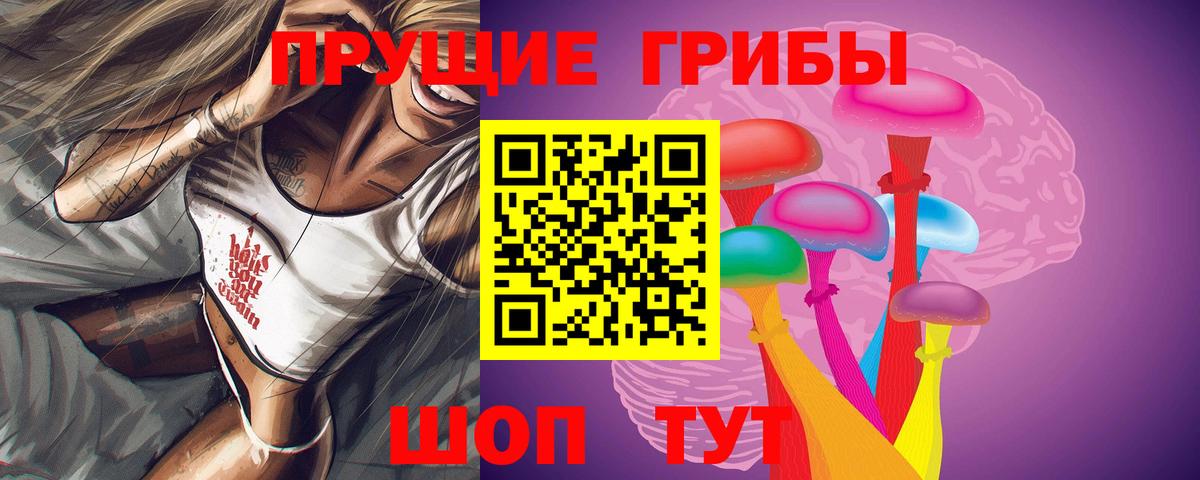 Псилоцибиновые грибы Строитель