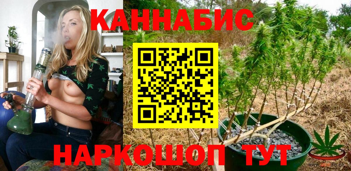 Канабис сатива  Шишки марихуана план  Строитель  Вход с VPN  Марихуана LSD WEED 